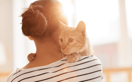 Аутосомно-рецессивно унаследованные болезни у кошек